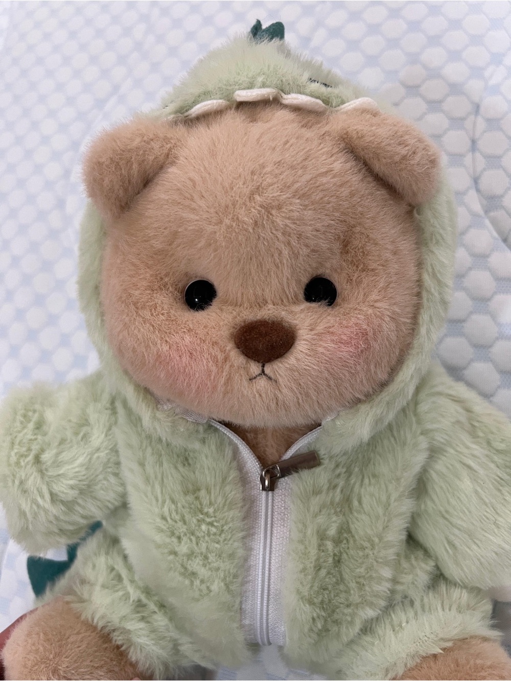 Plush Bear in Light Green Hooded Outfit - Soft Kids Toy